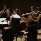 QuatuorZa__de2.jpg
