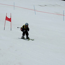 DSC_0015.jpg