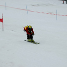 DSC_0017.jpg