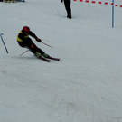 DSC_0041.jpg
