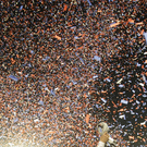 dc1-5t2kizvng8613m9uhdjg_original.jpg