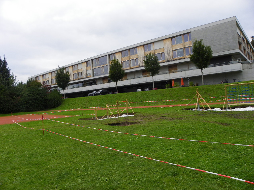 116_3733_JPG-1349565559