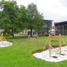 116_3739_JPG-1349565595