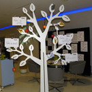 116_4452_JPG-1349566800