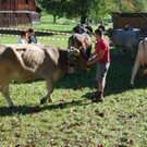 DSC_0373.JPG