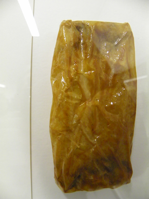 100_0702.jpg