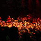 a77dd977bb6c04f8bb21859050604627_640.jpg