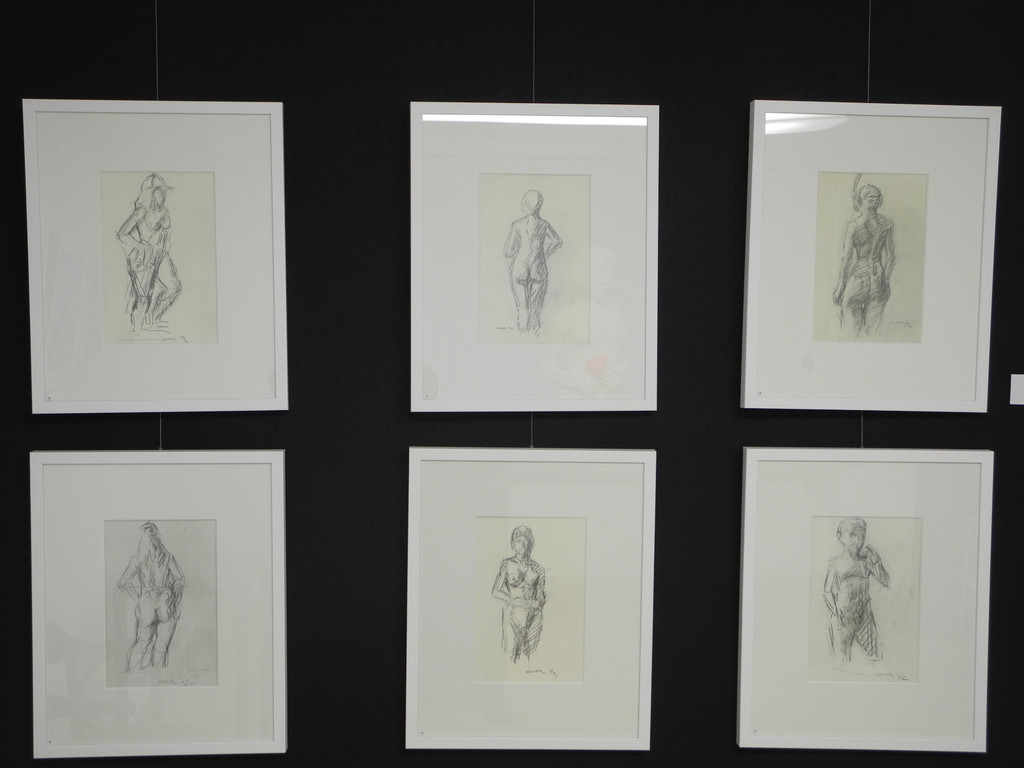 DSCN5879_JPG-1349616194