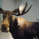 L1070695_jpg-1349626157