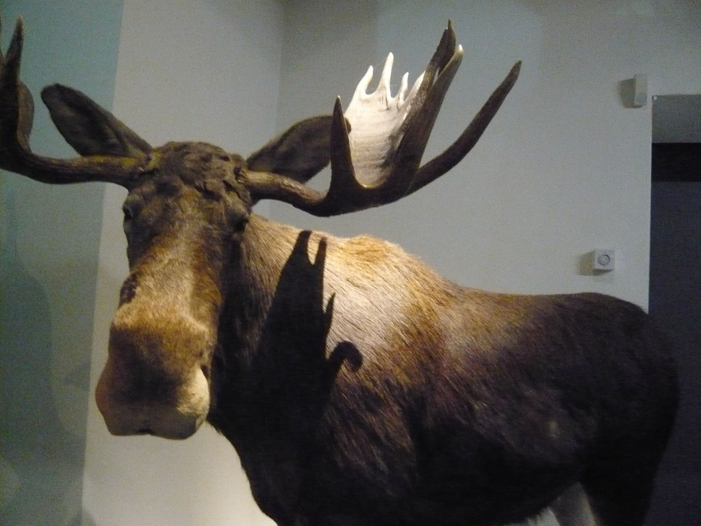 L1070695_jpg-1349626157