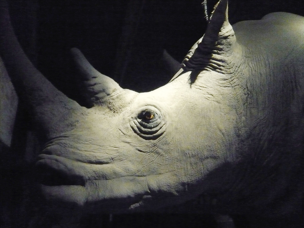 L1070703_jpg-1349626201