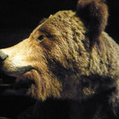 L1070699_jpg-1349626192