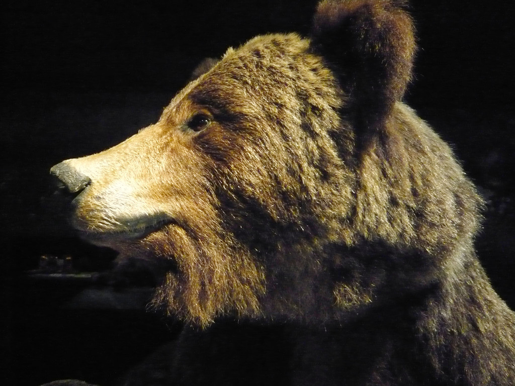 L1070699_jpg-1349626192