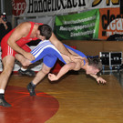 Ringer Bundesliga 2012