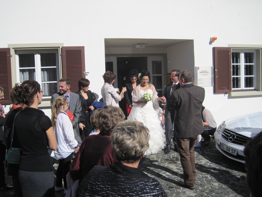 IMG_5248_JPG-1349635586