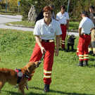 Rettungshundebrigade _3__JPG-1349678023