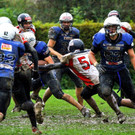 Blue Devils 13_jpg-1349678965