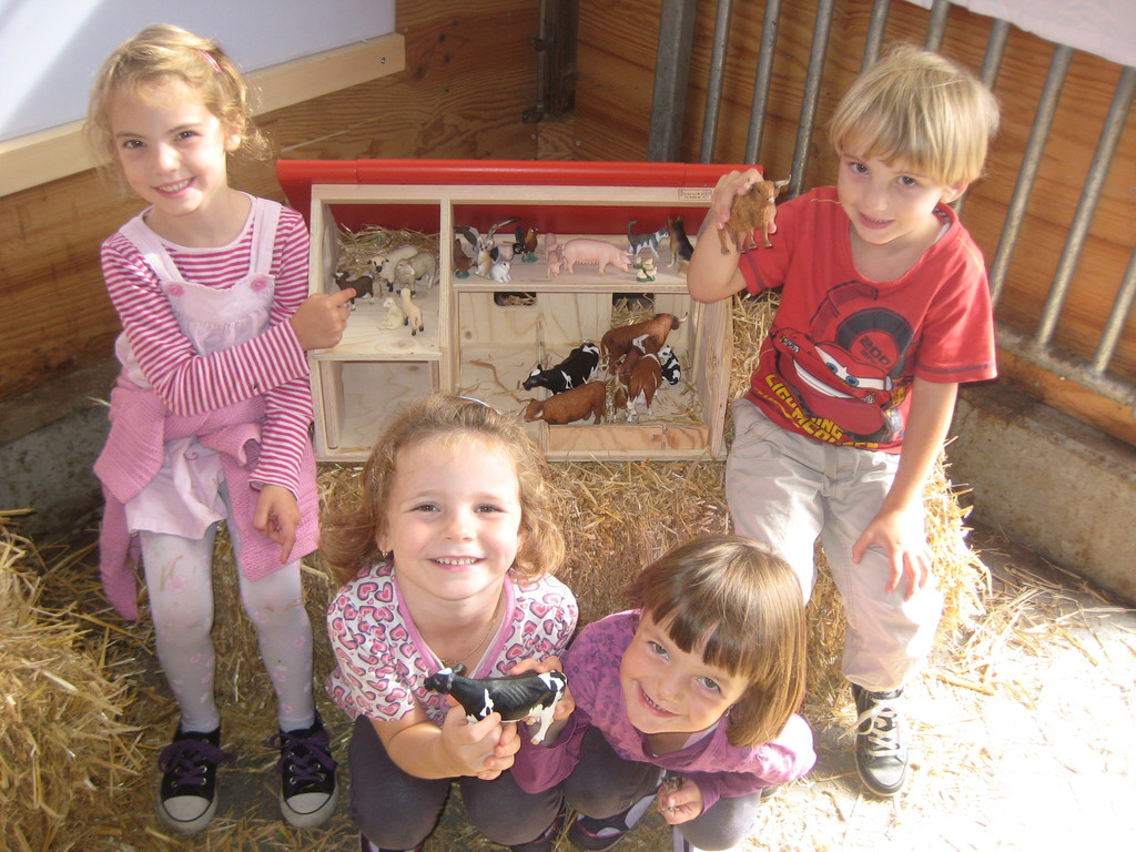 grilla_jpg 028_jpg-1349686355