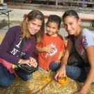 grilla_jpg 099_jpg-1349686441