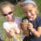 grilla_jpg 133_jpg-1349686492