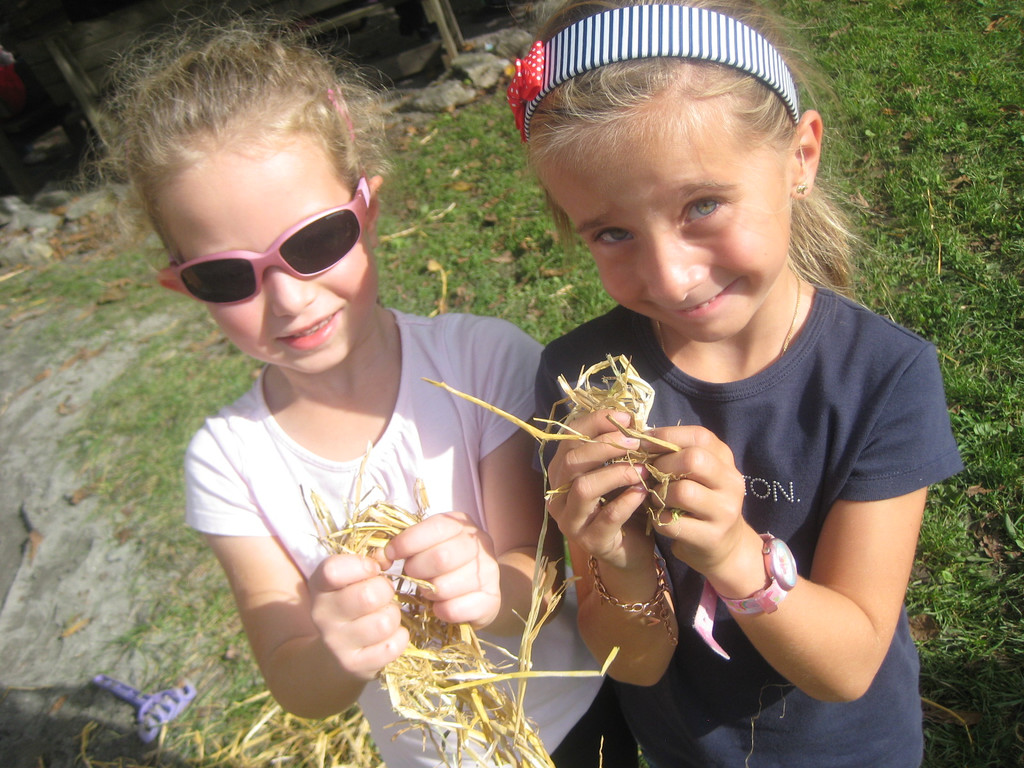 grilla_jpg 133_jpg-1349686492