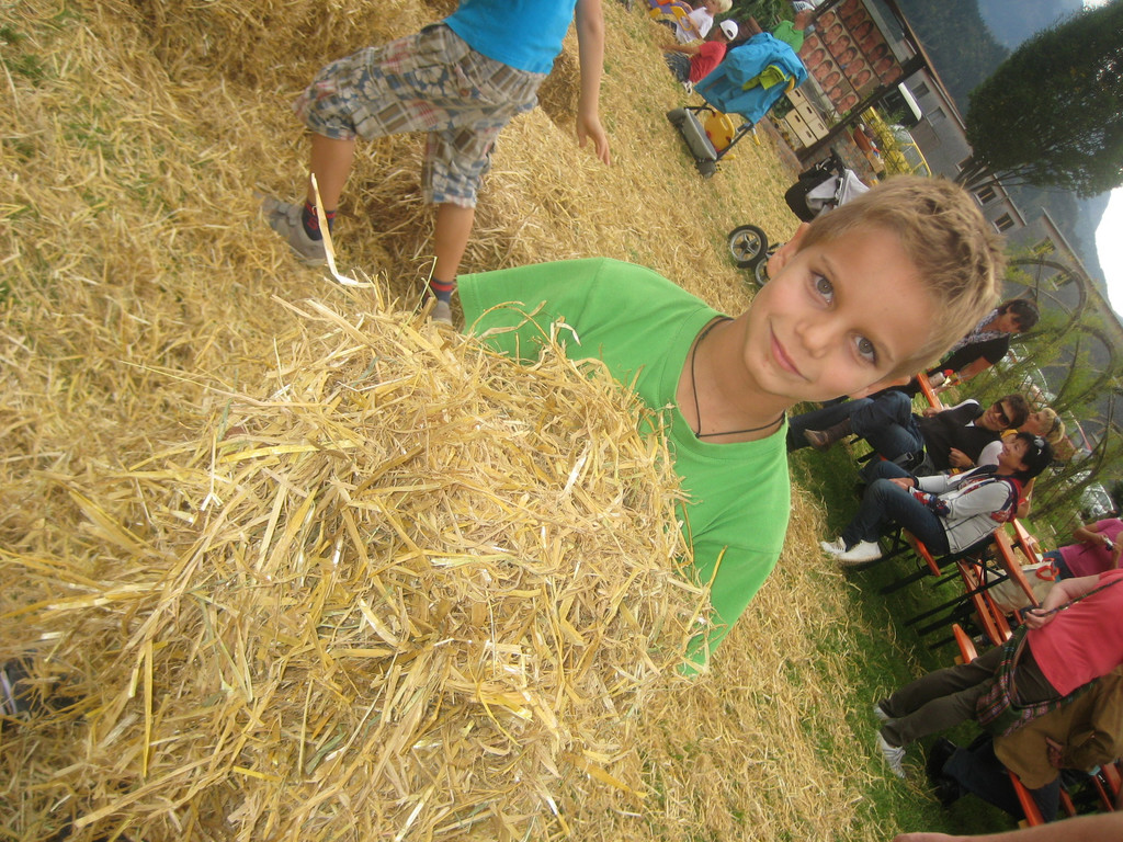 grilla_jpg 160_jpg-1349686536