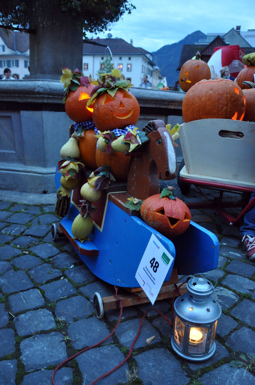 DSC_0010_JPG-1349694646