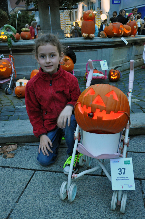 DSC_0033_JPG-1349694937