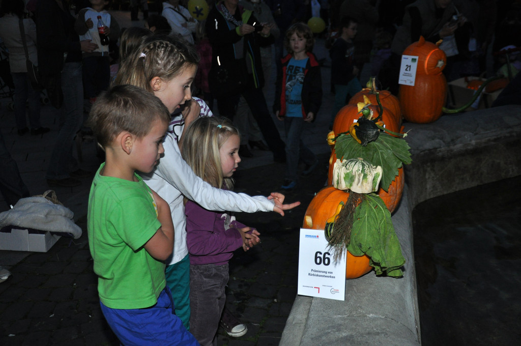 DSC_0049_JPG-1349695052