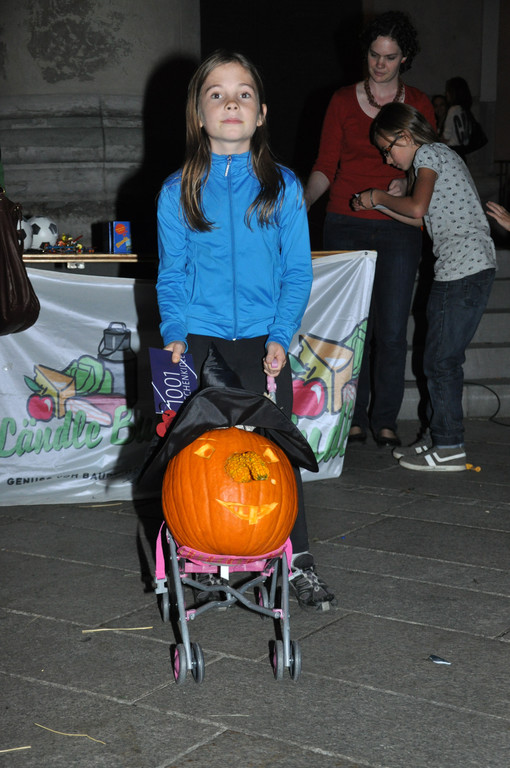 DSC_0081_JPG-1349695246
