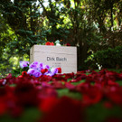 Trauerfeier Dirk Bach