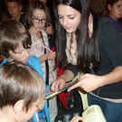 J7Rallye_jpg-1349717903