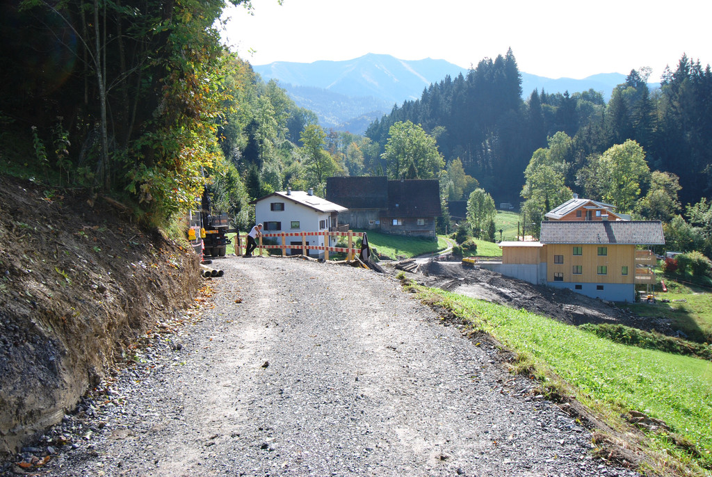 DSC_0006-1.jpg