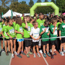 IMG_1133_JPG-1349734699