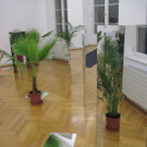 IMG_0193_JPG-1349737691