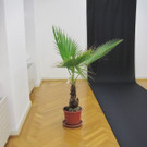 IMG_0194_JPG-1349737697