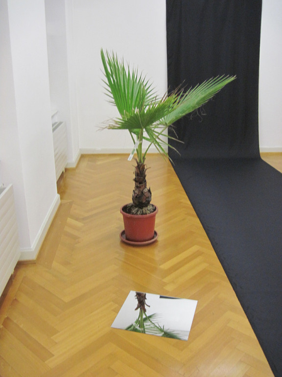 IMG_0194_JPG-1349737697