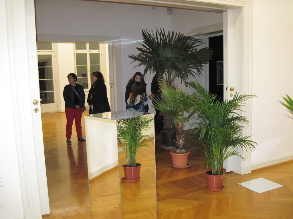 IMG_0196_JPG-1349737704