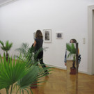 IMG_0199_JPG-1349737725