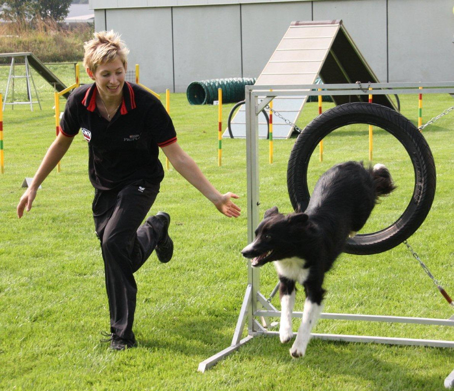 Agility Weltmeisterin Frick   09 101_jpg-1349774139