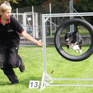 Agility Weltmeisterin Frick   09 111_jpg-1349774152