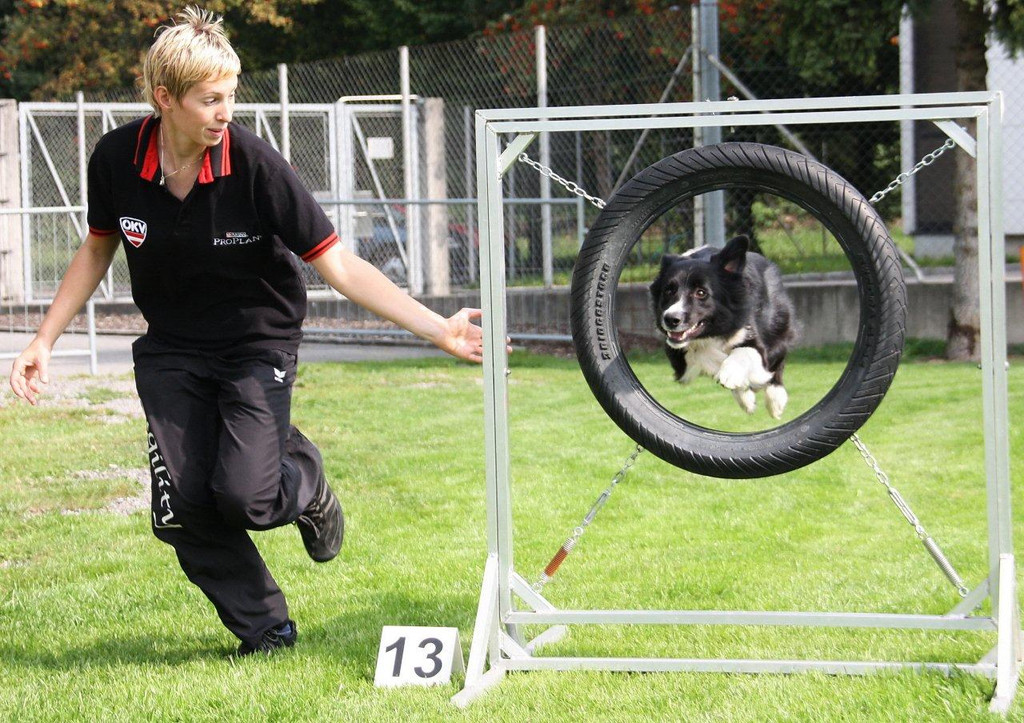 Agility Weltmeisterin Frick   09 111_jpg-1349774152