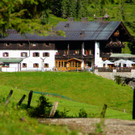 06.jpg