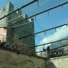 IMG_3250_jpg-1349798666