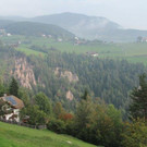 IMG_3446_jpg-1349798994