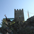 IMG_3269_jpg-1349799037