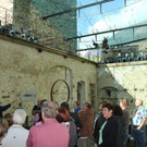 IMG_3249_jpg-1349799043