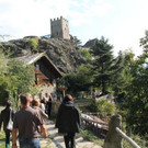 IMG_3211_jpg-1349799054