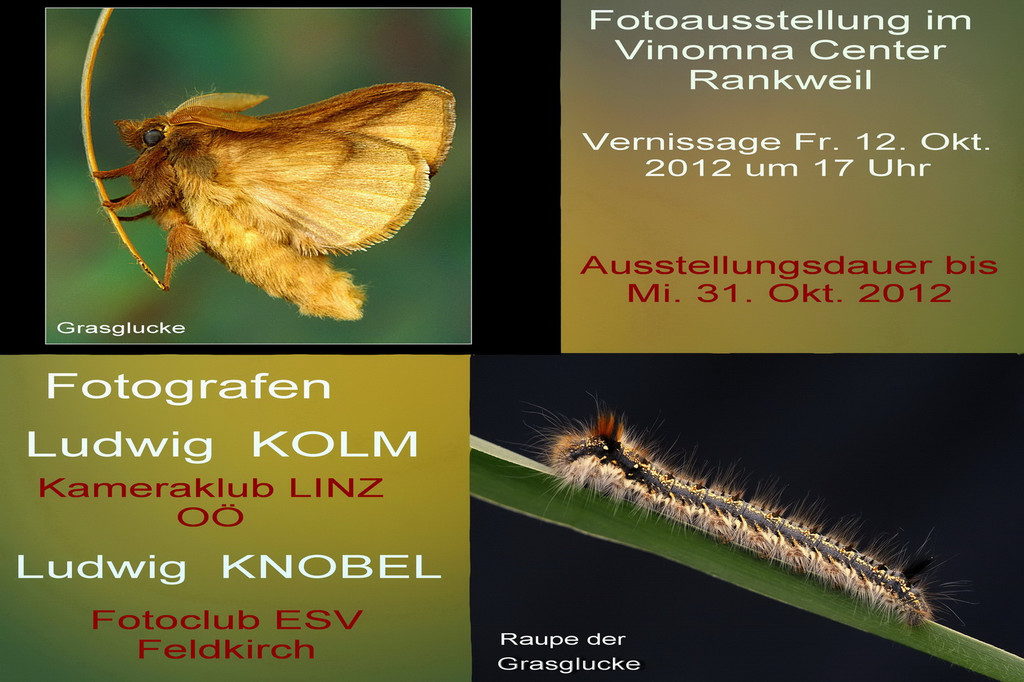 einlaudung luggi_jpg-1349943503