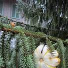 IMG_4492_JPG-1349965707